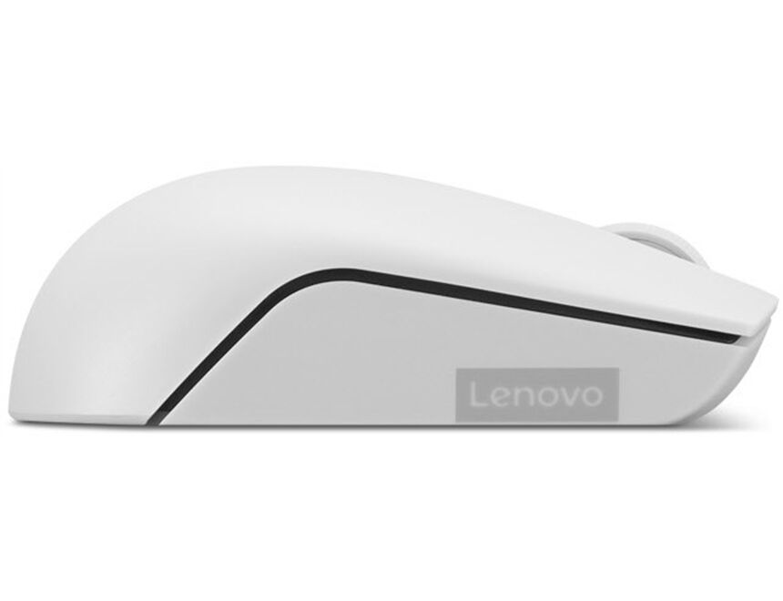 Lenovo 300