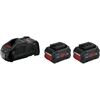 Bosch ProCORE Akku-Kit